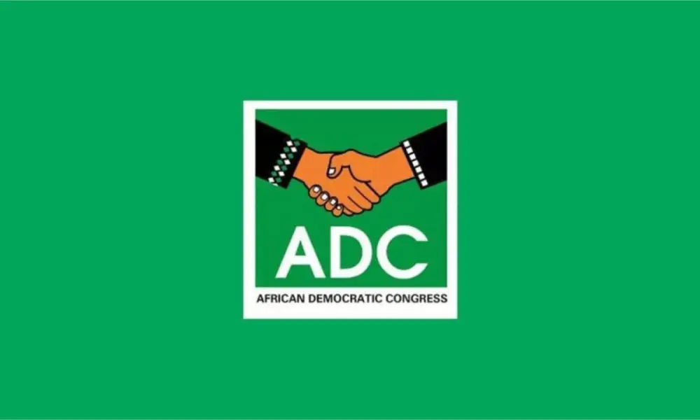 2027: We’re considering two options on electing presidential candidate – ADC