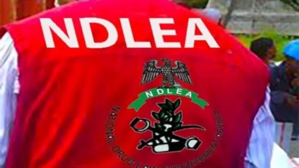 North-West has over 3 million drug users – NDLEA