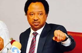 Tinubu didn’t exploit Buhari’s death — Shehu Sani