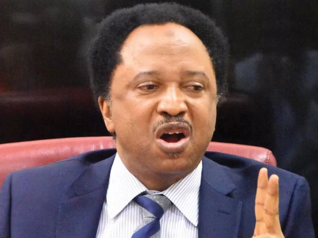 Hardship: Tinubu receiving bashing, govs getting richer – Shehu Sani